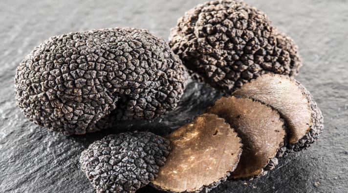 Where Do Truffles Come From And Why Are They Expensive
